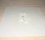 Application Instructions picture4