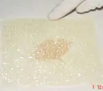 Application Instructions picture9